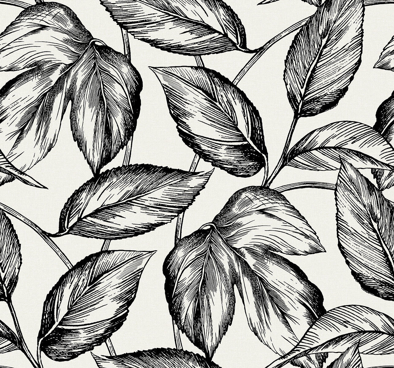 Seabrook Designs Summer House Beckett Sketched Leaves Botanical Coastal Black Matte Sidewall - SC20000