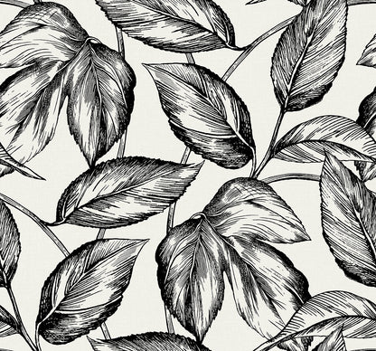 Seabrook Designs Summer House Beckett Sketched Leaves Botanical Coastal Black Matte  - SC20000