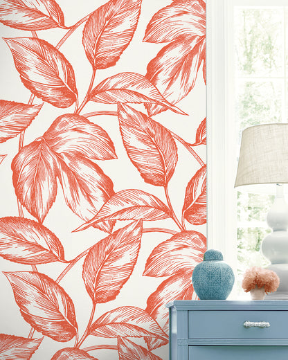 Seabrook Designs Summer House Beckett Sketched Leaves Botanical Coastal Orange Matte  - SC20001
