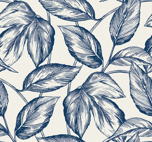 Seabrook Designs Summer House Beckett Sketched Leaves Botanical Coastal Blue Matte Sidewall - SC20002