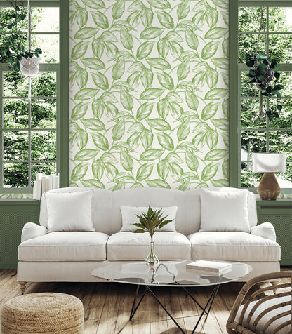 Seabrook Designs Summer House Beckett Sketched Leaves Botanical Coastal Green Matte  - SC20004