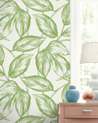 Seabrook Designs Summer House Beckett Sketched Leaves Botanical Coastal Green Matte  - SC20004