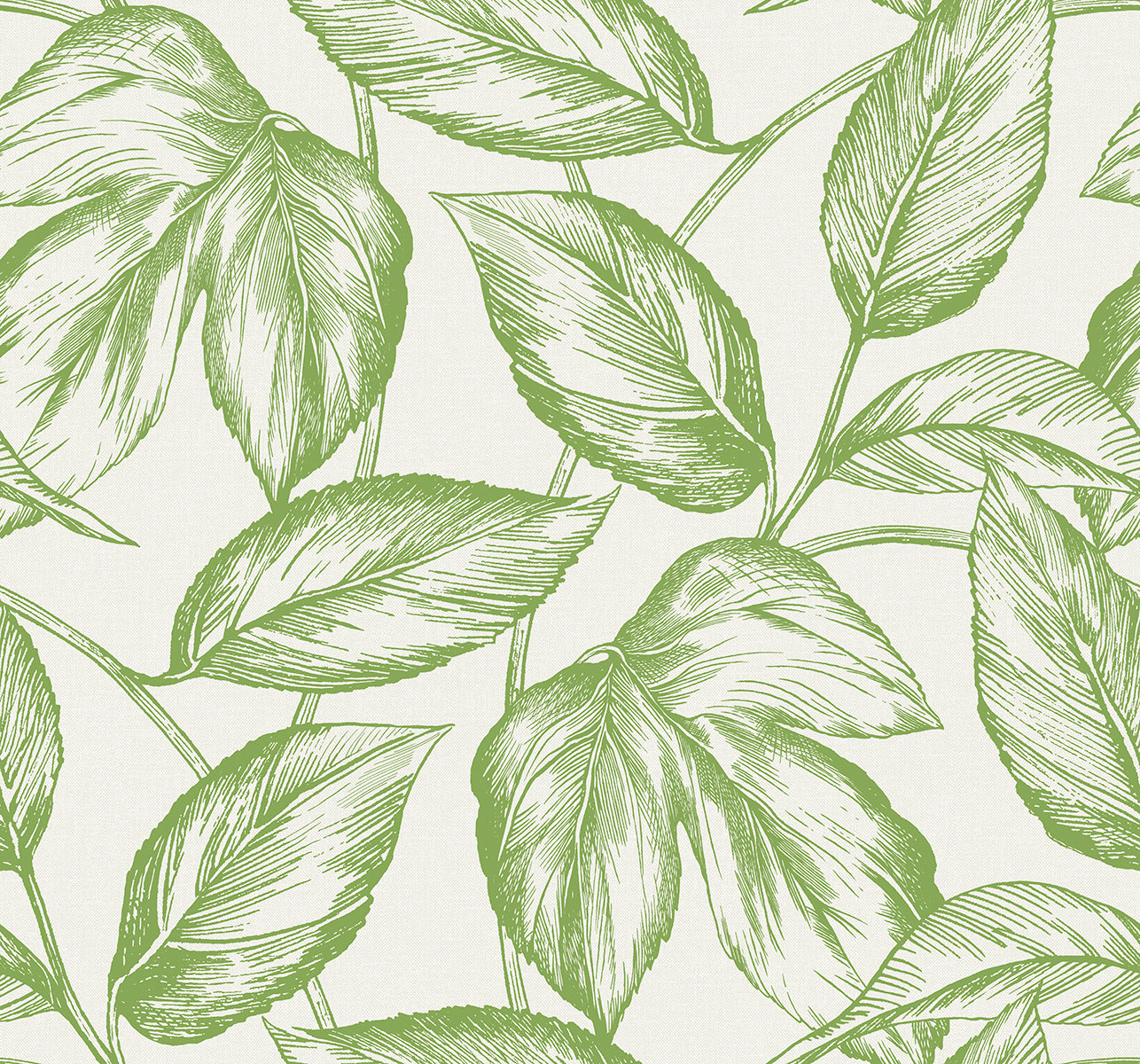 Seabrook Designs Summer House Beckett Sketched Leaves Botanical Coastal Green Matte Sidewall - SC20004