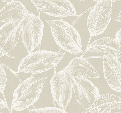 Seabrook Designs Summer House Beckett Sketched Leaves Botanical Coastal Beige Matte  - SC20005