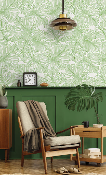 Seabrook Designs Summer House Tarra Monstera Leaf Botanical Tropical Green Matte  - SC20204