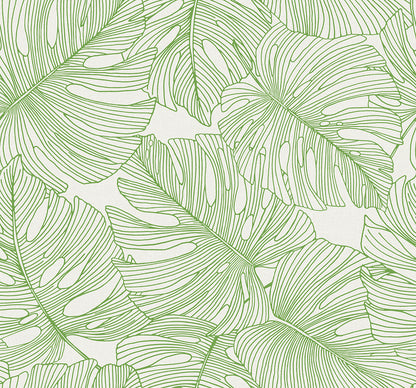 Seabrook Designs Summer House Tarra Monstera Leaf Botanical Tropical Green Matte  - SC20204