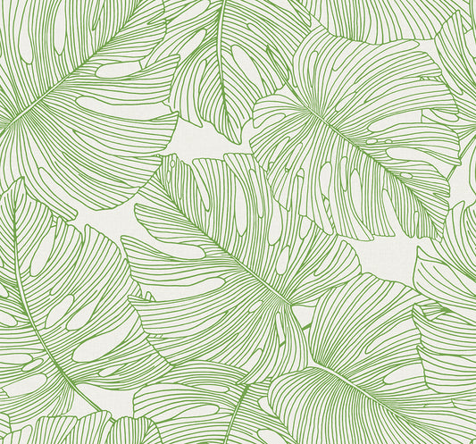 Seabrook Designs Summer House Tarra Monstera Leaf Botanical Tropical Green Matte Sidewall - SC20204