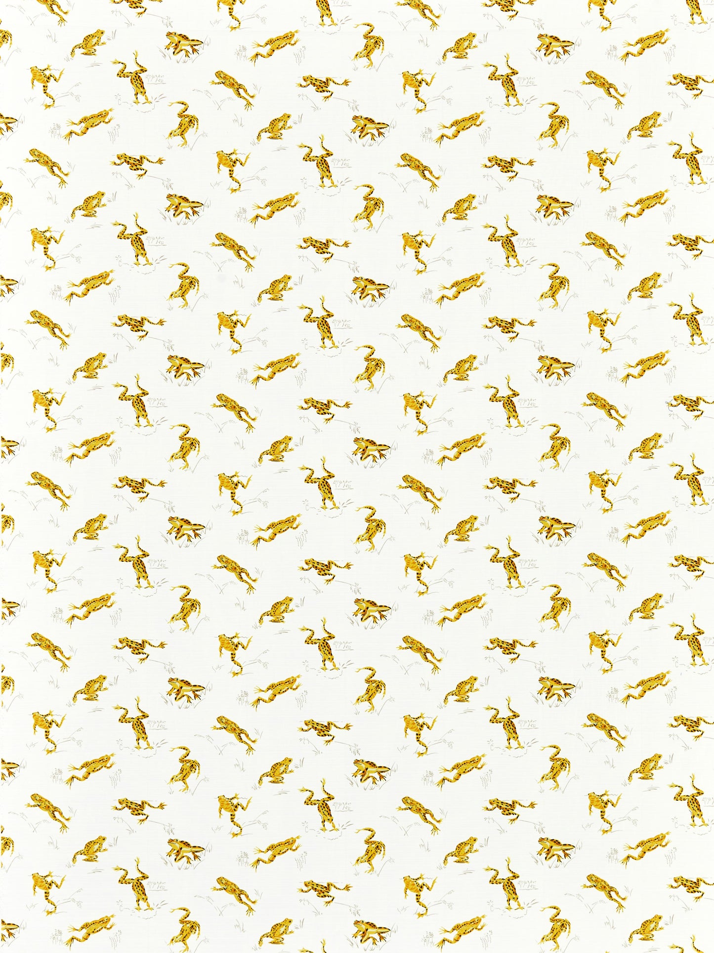 SCALAMANDRE  CALABASAS COUNTY - OUTDOOR FABRIC PINEAPPLE   - SC 000116426M NEW SKU # SC16426M0001