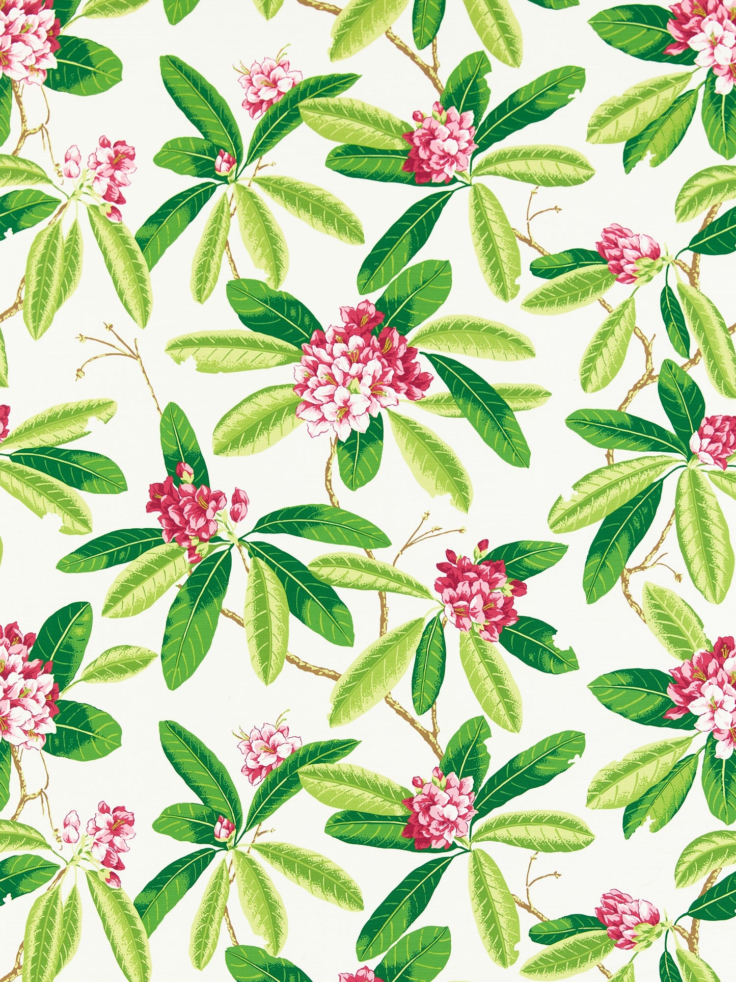 SCALAMANDRE  RHODODENDRON - OUTDOOR FABRIC FUSCHIA   - SC 000116454M