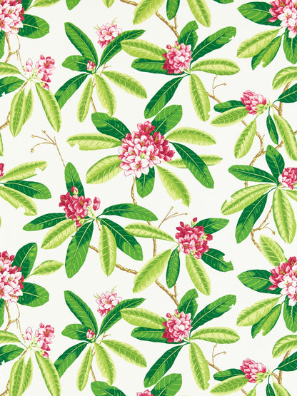 SCALAMANDRE  RHODODENDRON - OUTDOOR FABRIC FUSCHIA   - SC 000116454M NEW SKU # SC16454M0001