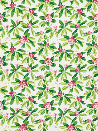 SCALAMANDRE  RHODODENDRON - OUTDOOR FABRIC FUSCHIA   - SC 000116454M NEW SKU # SC16454M0001