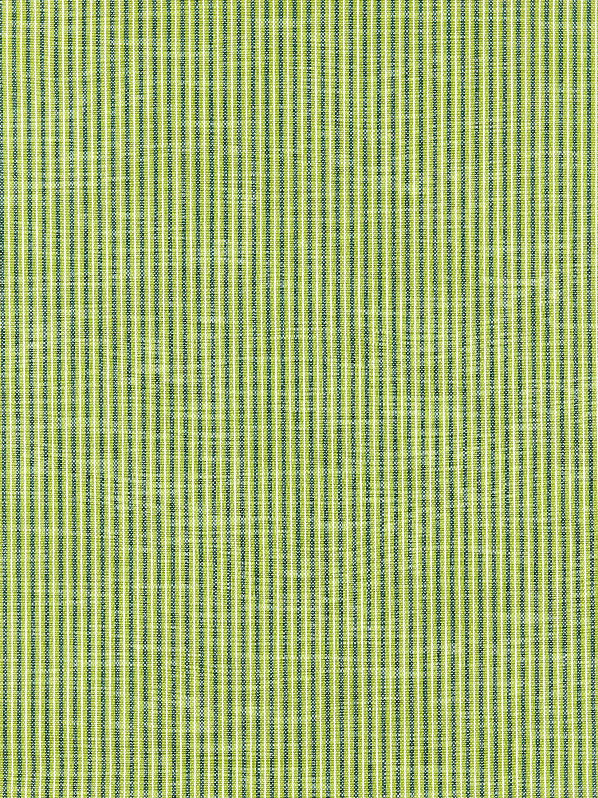 SCALAMANDRE  TISBURY STRIPE FABRIC FERN   - SC 000127109