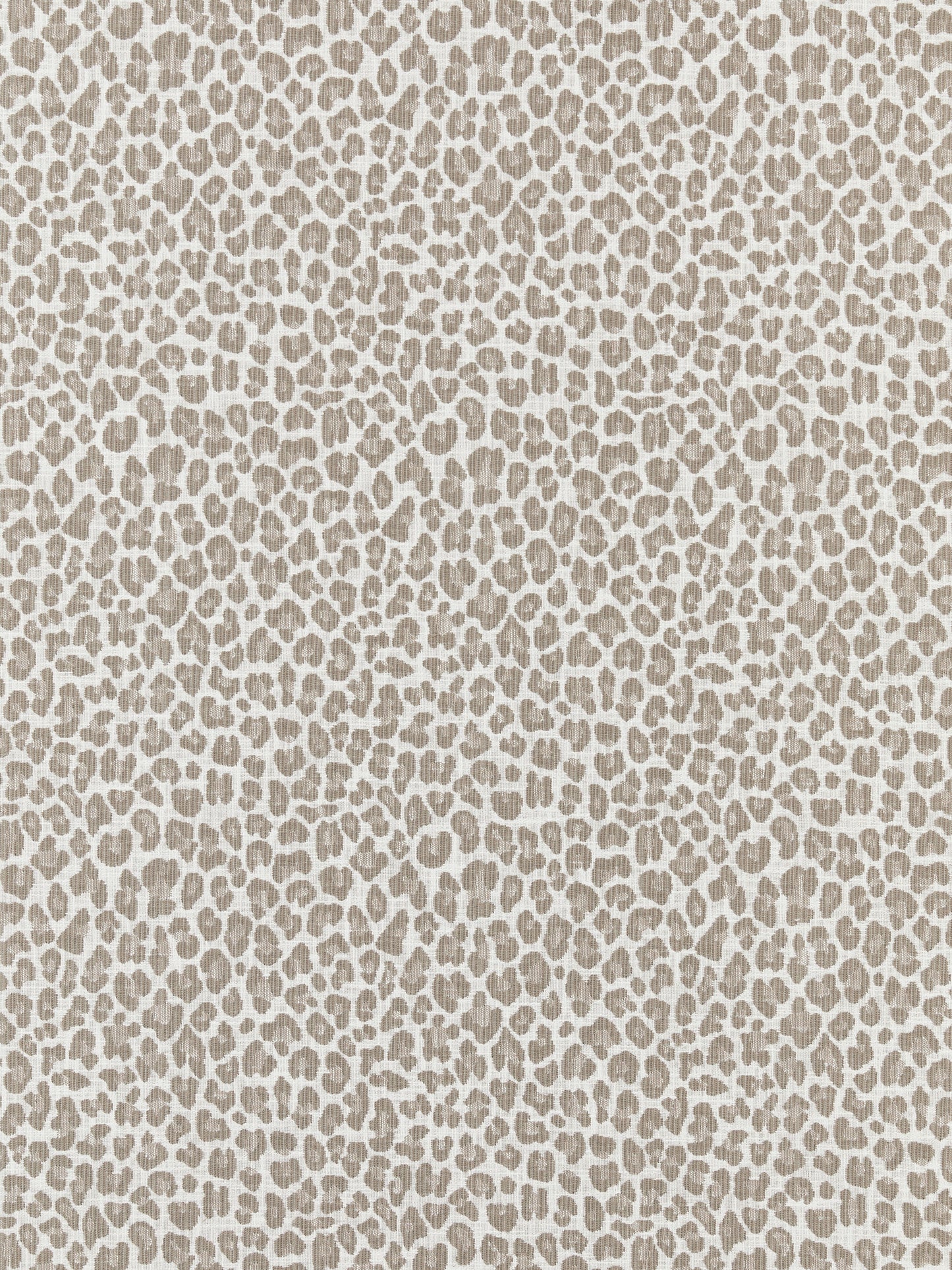 SCALAMANDRE  BACKYARD BENGAL FABRIC LIMESTONE   - SC 000127316