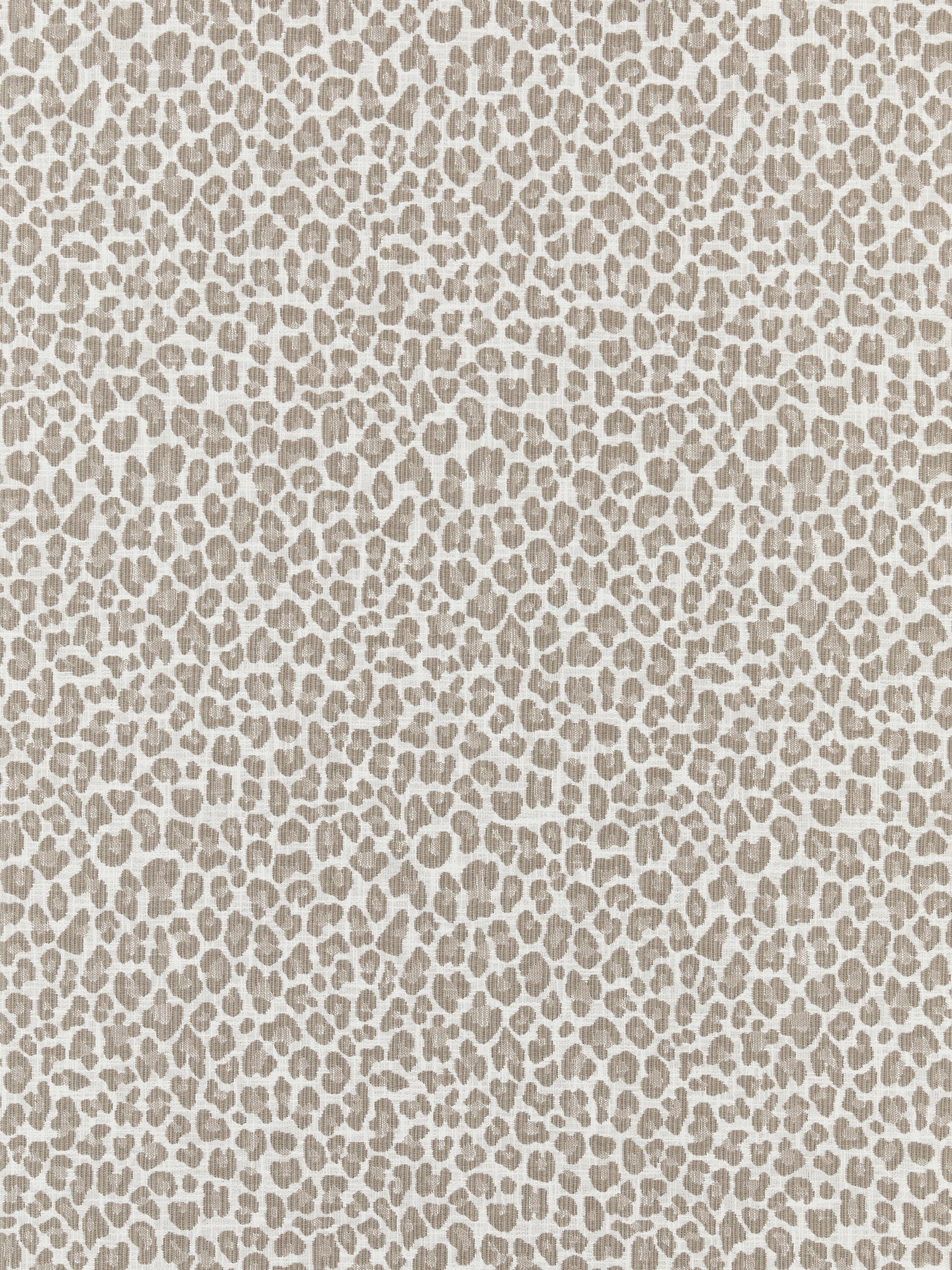 SCALAMANDRE  BACKYARD BENGAL FABRIC LIMESTONE   - SC 000127316