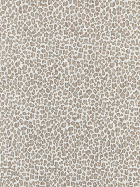 SCALAMANDRE  BACKYARD BENGAL FABRIC LIMESTONE   - SC 000127316