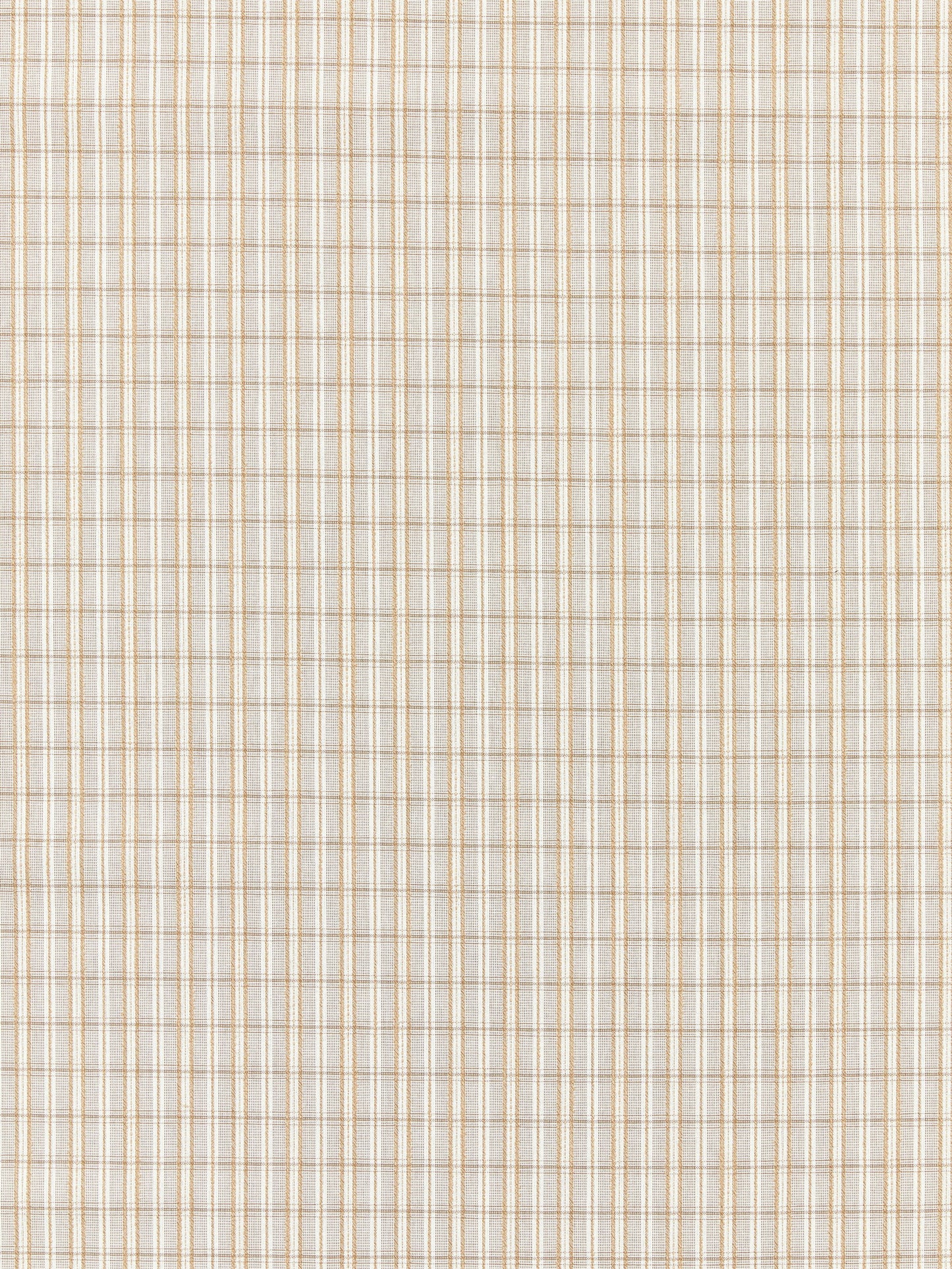 SCALAMANDRE  CHECK PLEASE - OUTDOOR FABRIC BIRCH   - SC 000127318