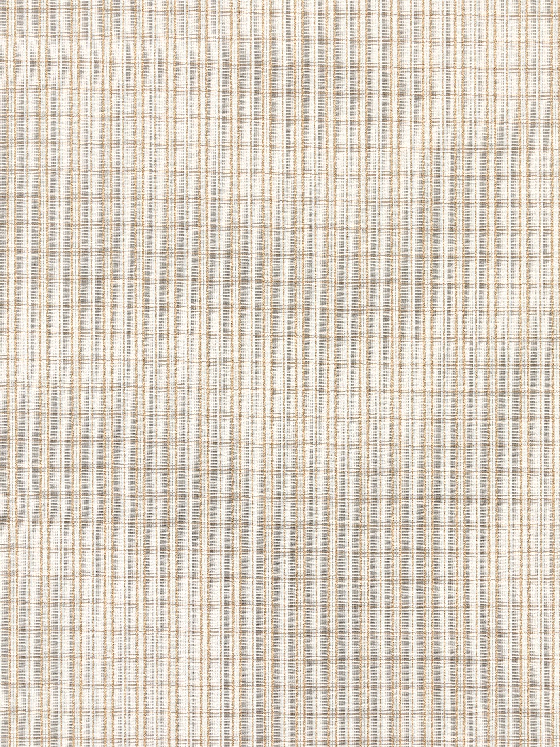 SCALAMANDRE  CHECK PLEASE - OUTDOOR FABRIC BIRCH   - SC 000127318