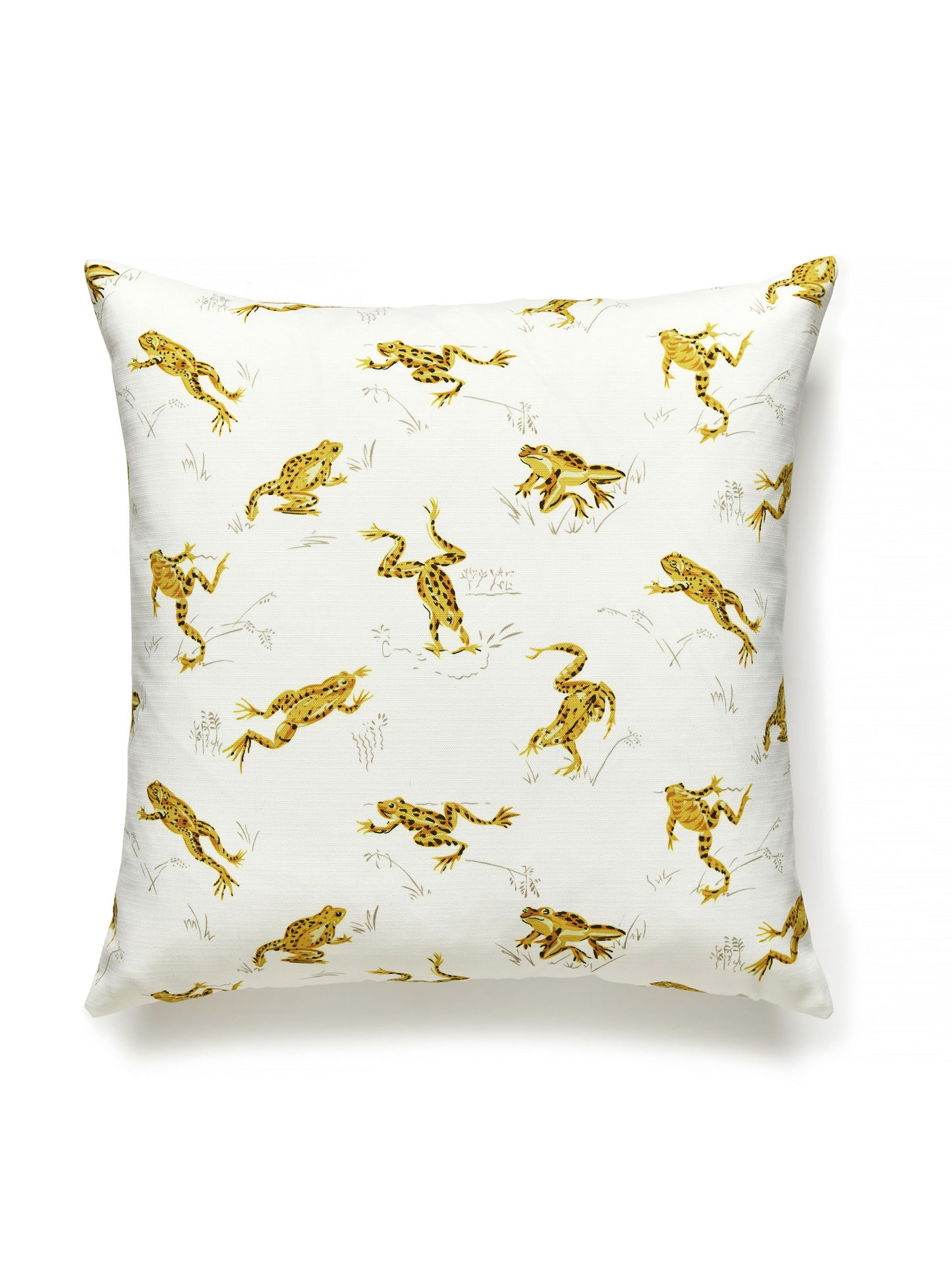 SCALAMANDRE PILLOWS   BIRD / ANIMAL SQUARE    - SC 0001CALABPILL