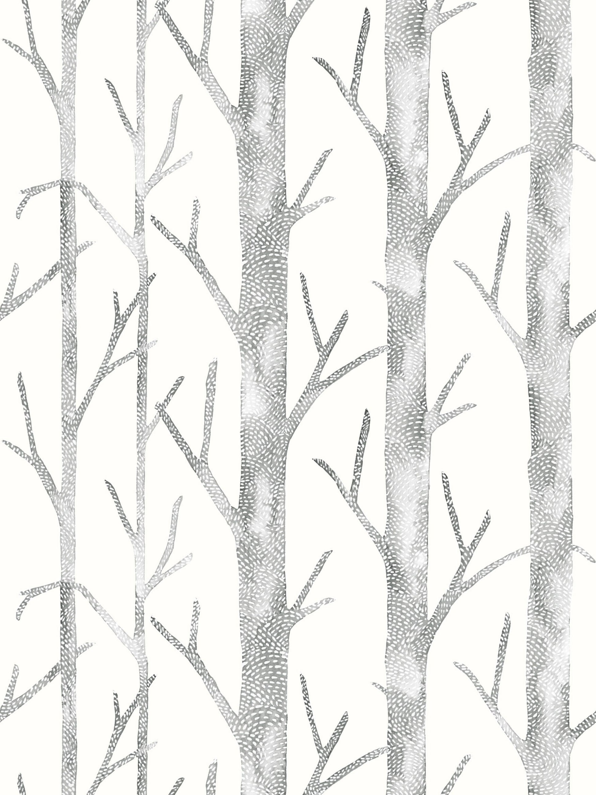 Gray-scale birch tree pattern wallpaper with tall trunks and slender branches on a white background