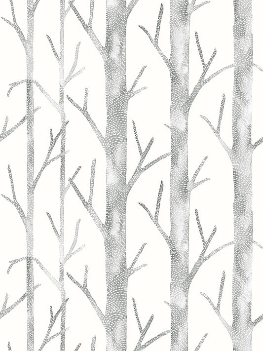 Gray-scale birch tree pattern wallpaper with tall trunks and slender branches on a white background