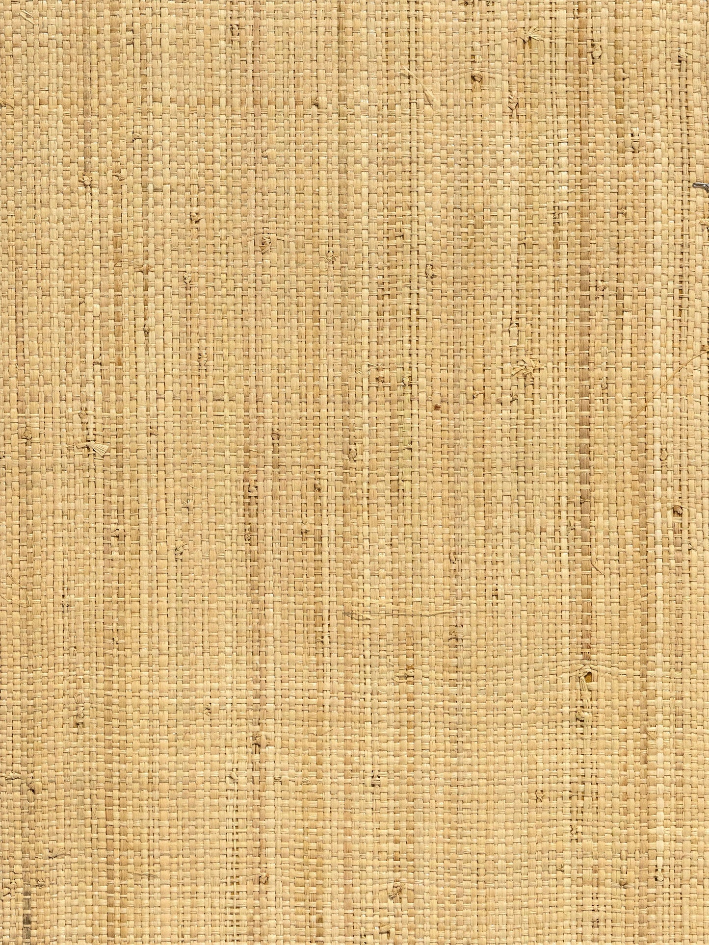 SC-0001WP88569--IMERINA---GRASSCLOTH