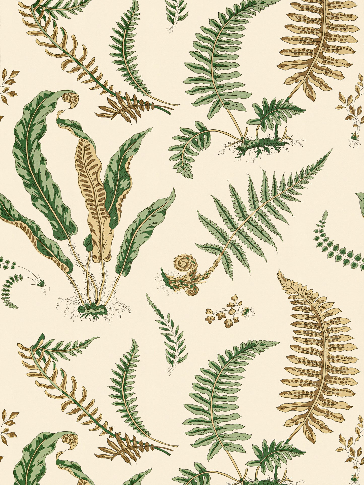 SCALAMANDRE  ELSIE DE WOLFE WALLCOVERING BOTANICAL , FOLIAGE GREENS ON OFF WHITE   - SC 0001WP88592D NEW SKU # SCWP88592D0001