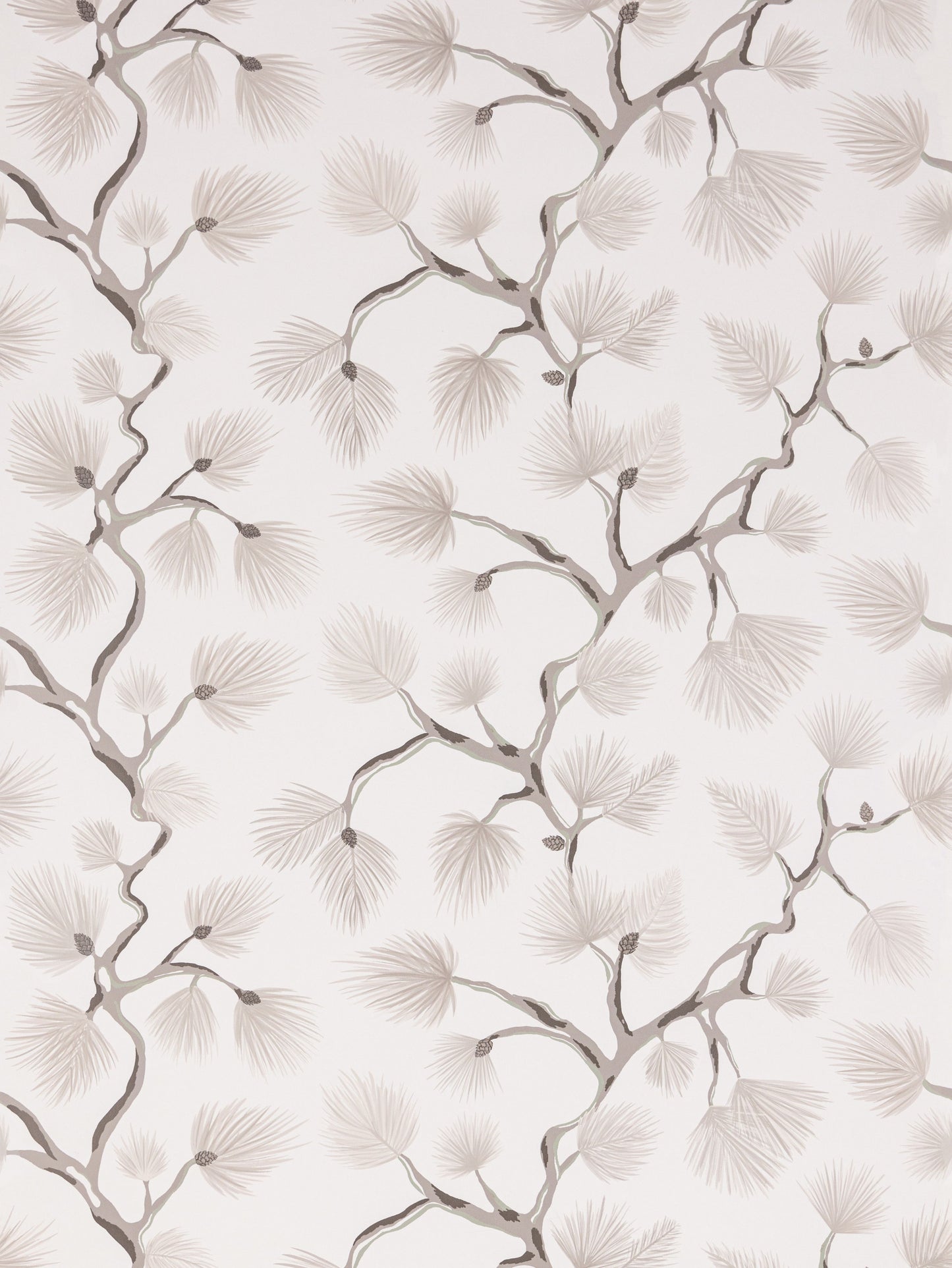 SCALAMANDRE  PIGNOLI WALLCOVERING BOTANICAL , FOLIAGE SNOW   - SC 0001WP88593D NEW SKU # SCWP88593D0001
