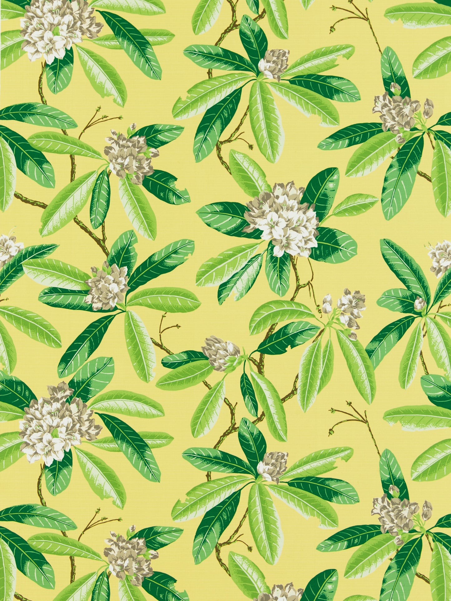 SCALAMANDRE  RHODODENDRON - OUTDOOR FABRIC PINEAPPLE   - SC 000216454M