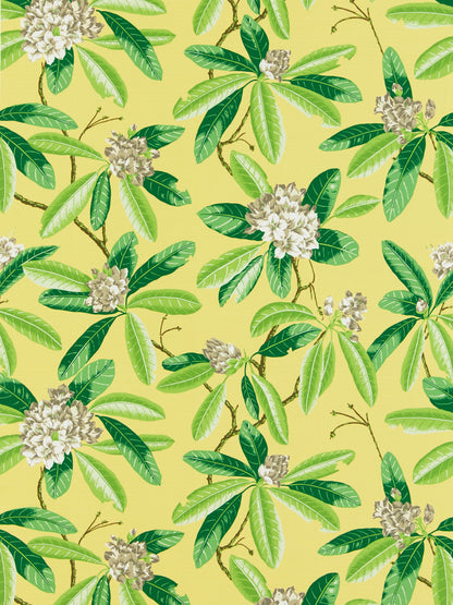 SCALAMANDRE  RHODODENDRON - OUTDOOR FABRIC PINEAPPLE   - SC 000216454M NEW SKU # SC16454M0002