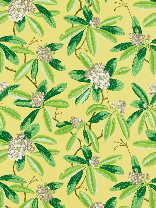 SCALAMANDRE  RHODODENDRON - OUTDOOR FABRIC PINEAPPLE   - SC 000216454M