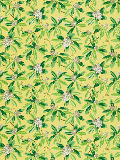 SCALAMANDRE  RHODODENDRON - OUTDOOR FABRIC PINEAPPLE   - SC 000216454M NEW SKU # SC16454M0002