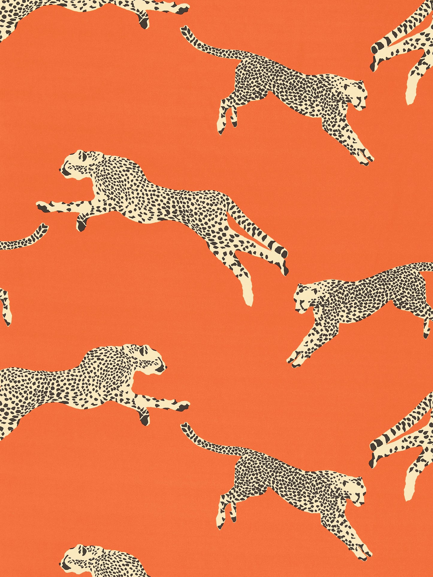 SCALAMANDRE  LEAPING CHEETAH COTTON PRINT FABRIC CLEMENTINE   - SC 000216634