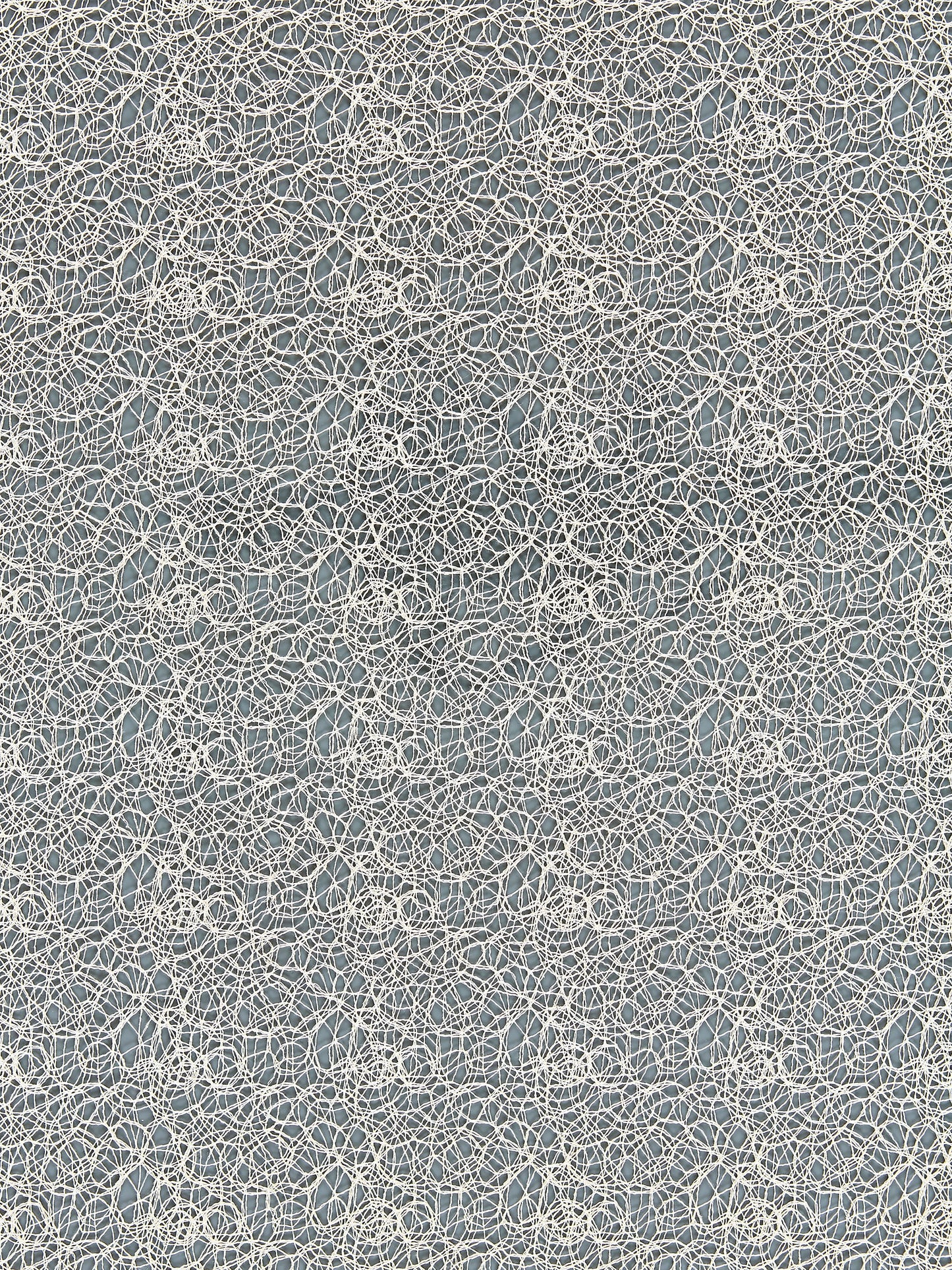 SCALAMANDRE  MODERN LACE FABRIC CHAMPAGNE   - SC 000227146 NEW SKU # SC271460002