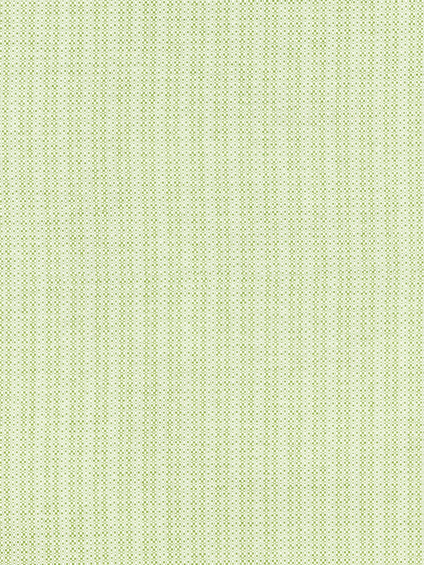 SCALAMANDRE  TAHITI TWEED FABRIC PALM   - SC 000227192