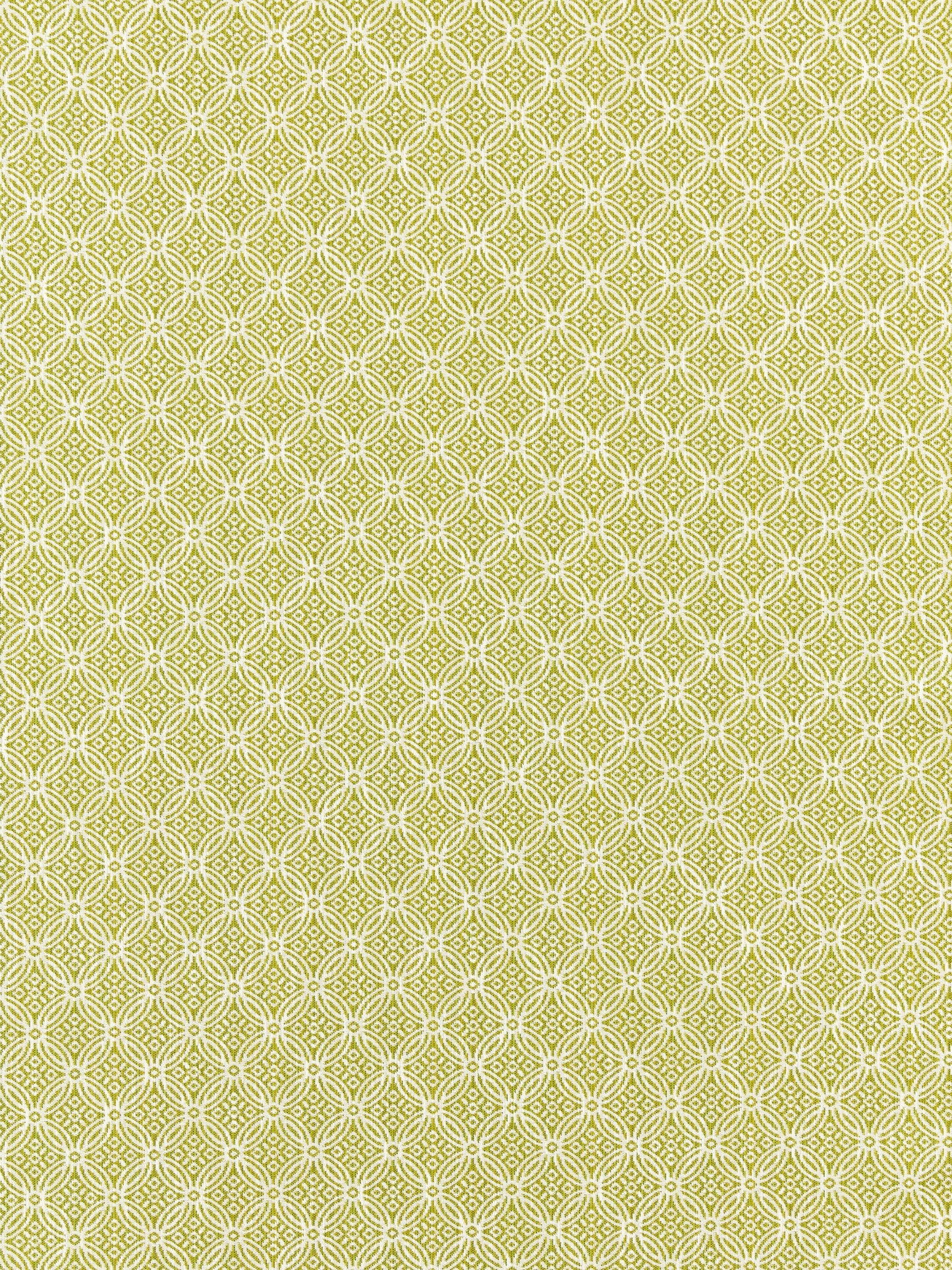 SCALAMANDRE  CAPE MAY FABRIC KEY LIME   - SC 000227317