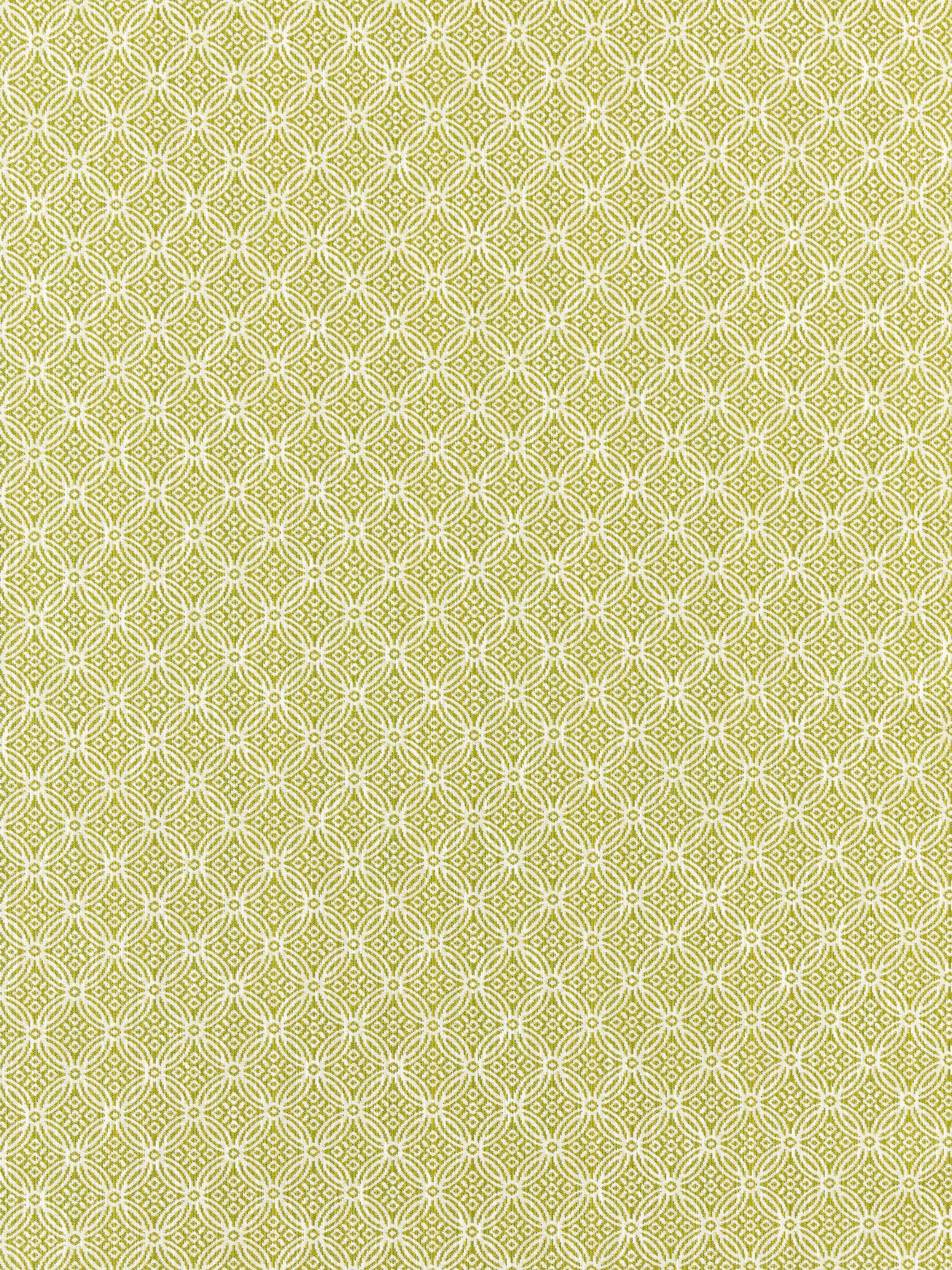 SCALAMANDRE  CAPE MAY FABRIC KEY LIME   - SC 000227317