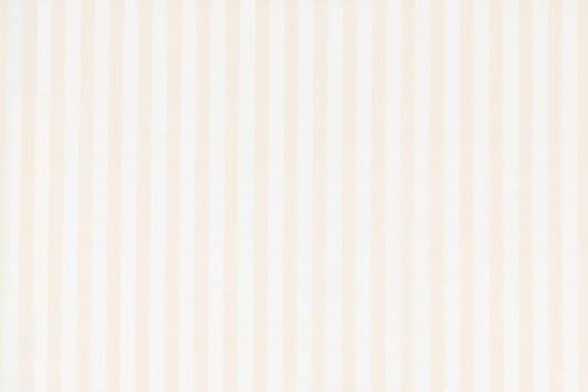 SCALAMANDRE OUTLET  FABRIC BALLET SILK STRIPE  FABRIC CREAM , WHITE   - SC 000230145MM