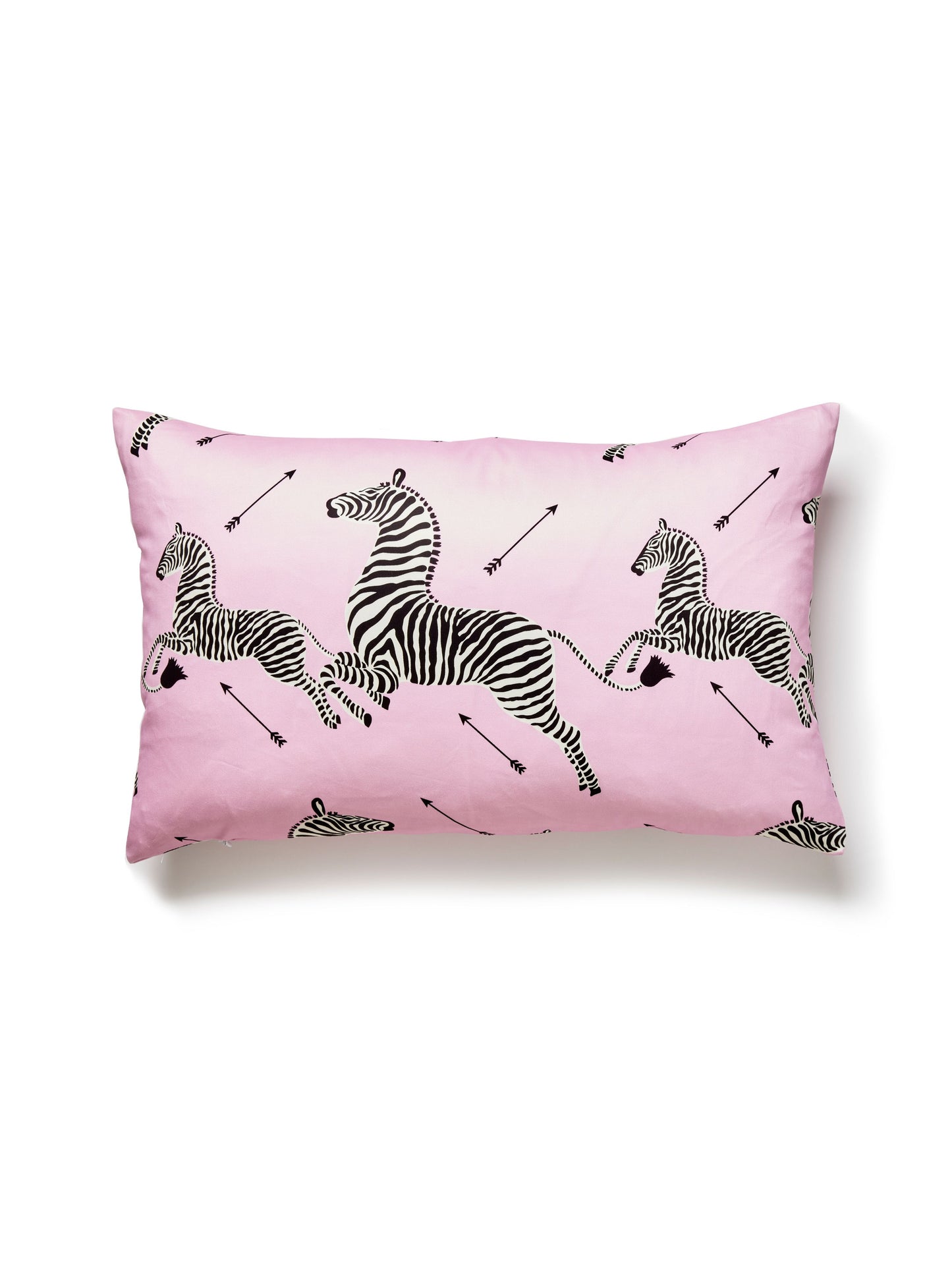 SCALAMANDRE PILLOWS   BIRD / ANIMAL 
GRAPHIC LUMBAR    - SC 0002LPZEBPILL