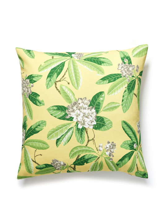 SCALAMANDRE PILLOWS   BOTANICAL / FOLIAGE 
FLORAL SQUARE    - SC 0002RHODMPILL NEW SKU # SCRHODMPILL0002