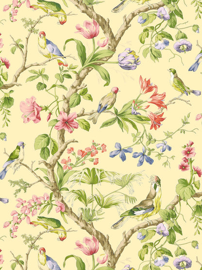 SCALAMANDRE  BELIZE BIRD , ANIMAL 
BOTANICAL , FOLIAGE 
FLORAL SUNLIT   - SC 0002WP88381 NEW SKU # SCWP883810002