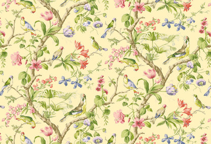 SCALAMANDRE  BELIZE BIRD , ANIMAL 
BOTANICAL , FOLIAGE 
FLORAL SUNLIT   - SC 0002WP88381 NEW SKU # SCWP883810002