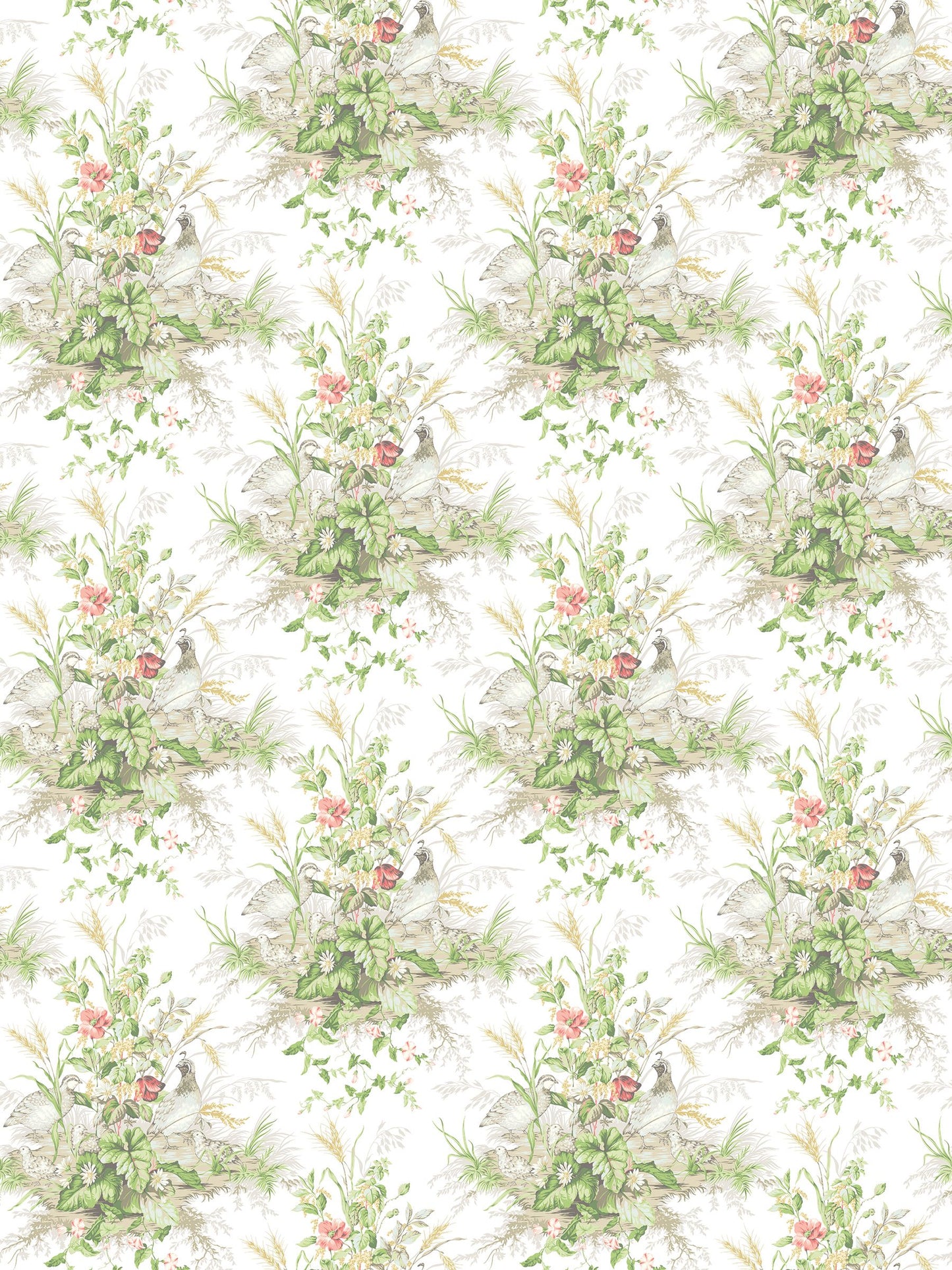 SCALAMANDRE  EDWIN'S COVEY BIRD , ANIMAL 
BOTANICAL , FOLIAGE 
HISTORIC 
SCENIC PRAIRIE   - SC 0002WP88434 NEW SKU # SCWP884340002