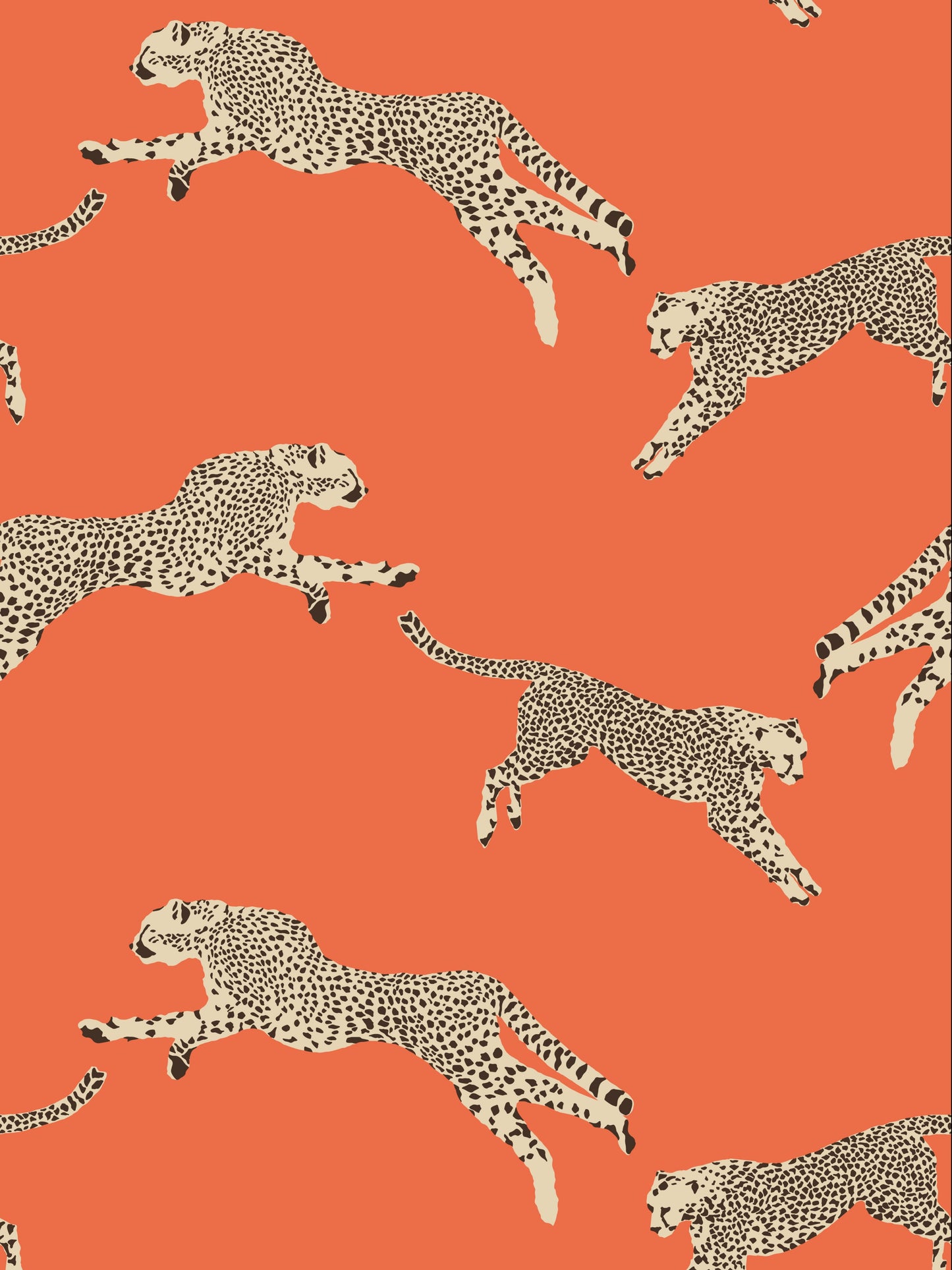 SC-0002WP88449--LEAPING-CHEETAH