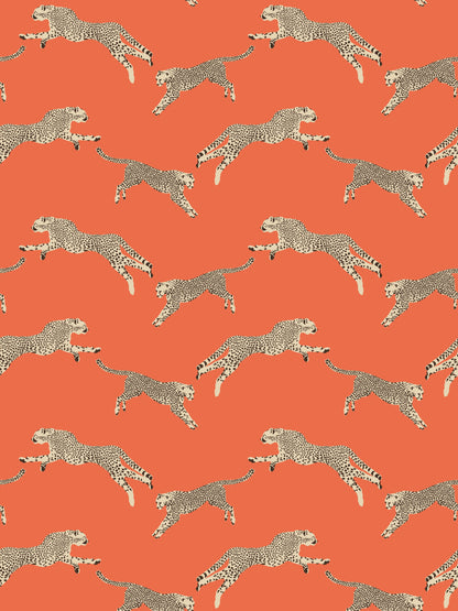 SCALAMANDRE  LEAPING CHEETAH BIRD , ANIMAL CLEMENTINE   - SC 0002WP88449 NEW SKU # SCWP884490002