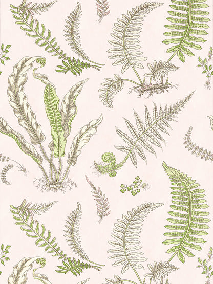 SCALAMANDRE  ELSIE DE WOLFE WALLCOVERING BOTANICAL , FOLIAGE BALLET SLIPPER   - SC 0002WP88592D NEW SKU # SCWP88592D0002
