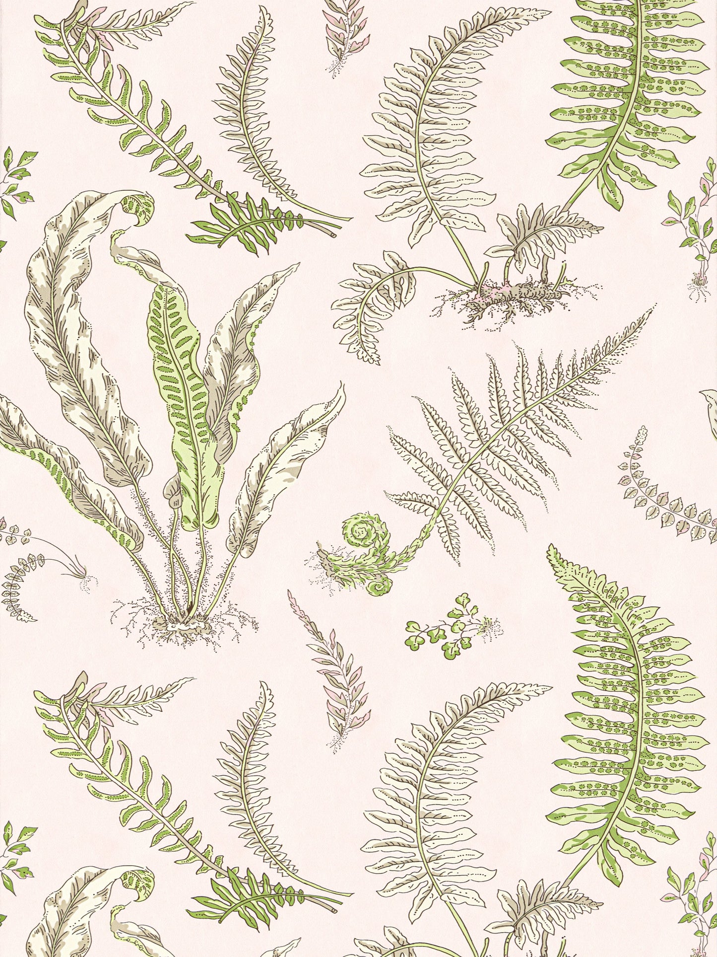 SCALAMANDRE  ELSIE DE WOLFE WALLCOVERING BOTANICAL , FOLIAGE BALLET SLIPPER   - SC 0002WP88592D NEW SKU # SCWP88592D0002
