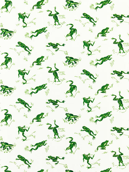 SCALAMANDRE  CALABASAS COUNTY - OUTDOOR FABRIC SNAP PEA   - SC 000316426M NEW SKU # SC16426M0003