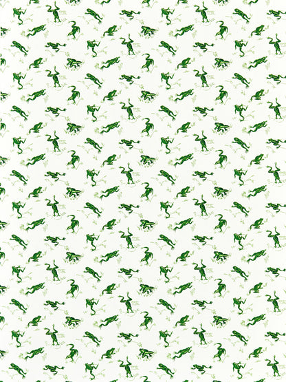 SCALAMANDRE  CALABASAS COUNTY - OUTDOOR FABRIC SNAP PEA   - SC 000316426M NEW SKU # SC16426M0003