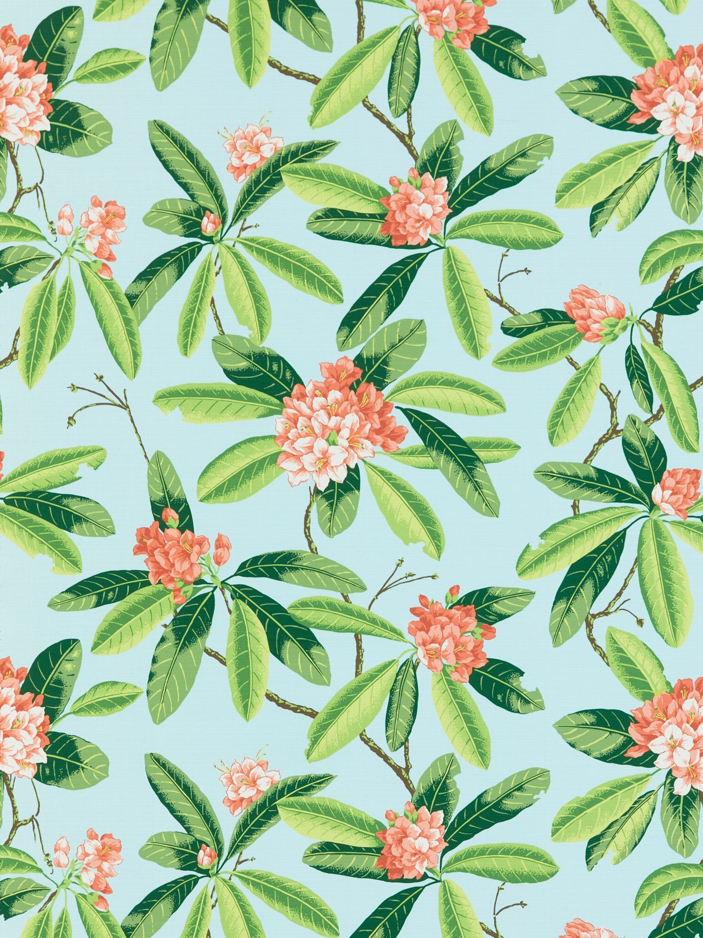 SCALAMANDRE  RHODODENDRON - OUTDOOR FABRIC CORAL ON AQUA   - SC 000316454M