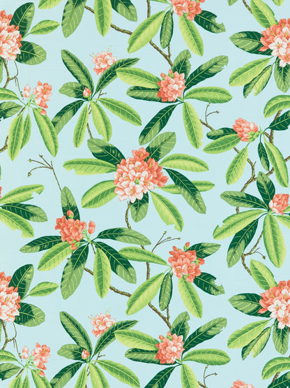SCALAMANDRE  RHODODENDRON - OUTDOOR FABRIC CORAL ON AQUA   - SC 000316454M NEW SKU # SC16454M0003